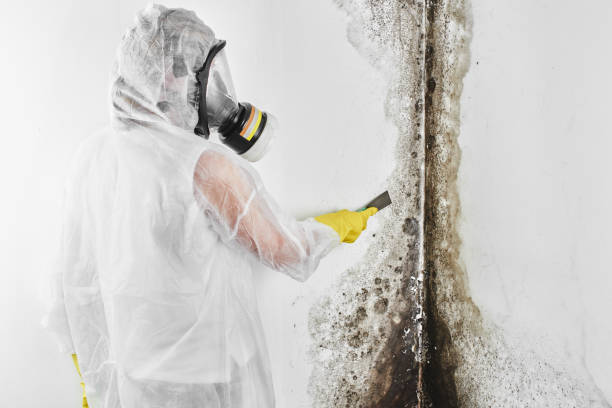 Best Crawl Space Mold Removal  in Oakhurst, NJ