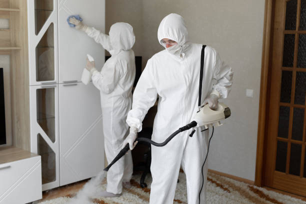 Best Toxic Mold Removal  in Oakhurst, NJ