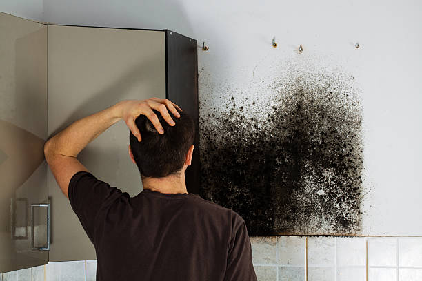 Best Black Mold Removal  in Oakhurst, NJ